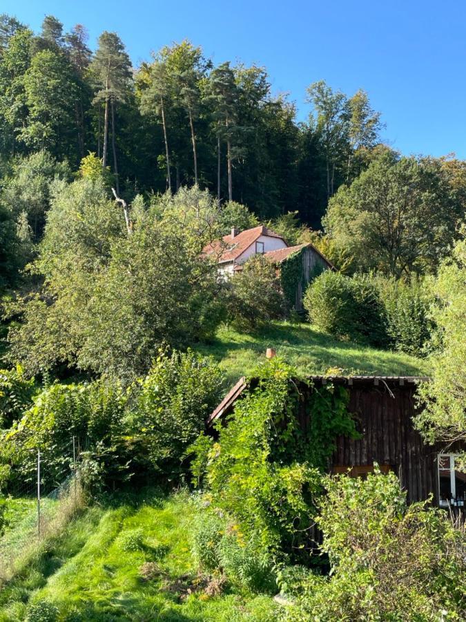 Mon Refuge En Vasgovie Appartement Meisenthal Buitenkant foto