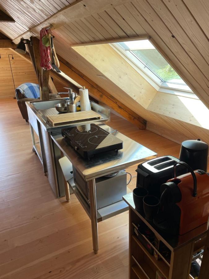 Mon Refuge En Vasgovie Appartement Meisenthal Buitenkant foto