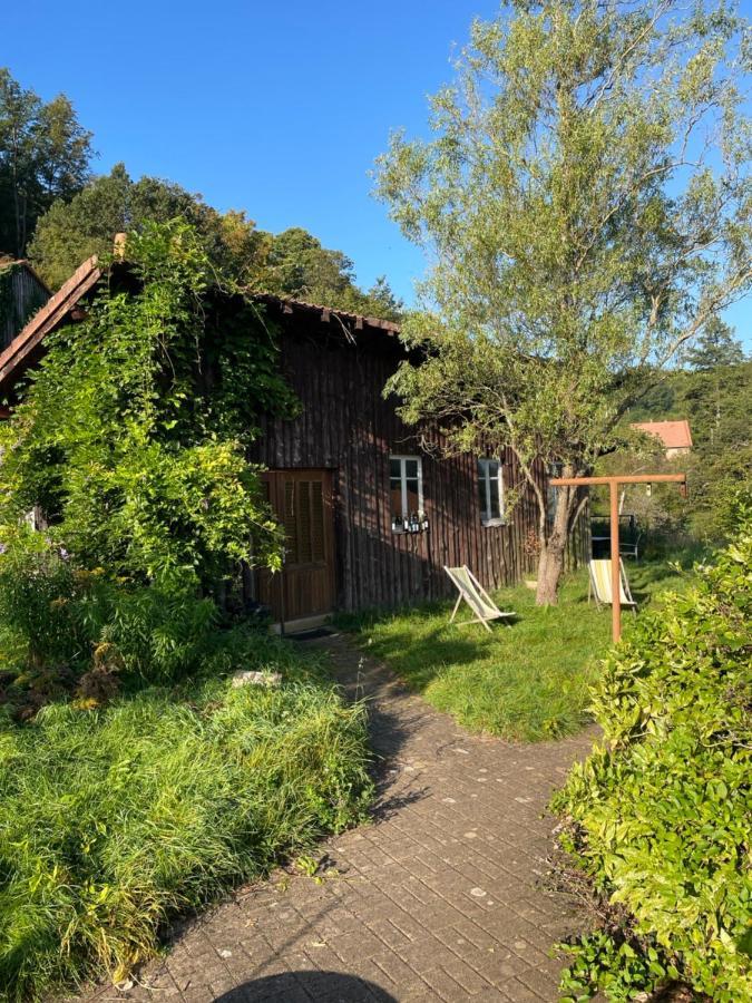 Mon Refuge En Vasgovie Appartement Meisenthal Buitenkant foto